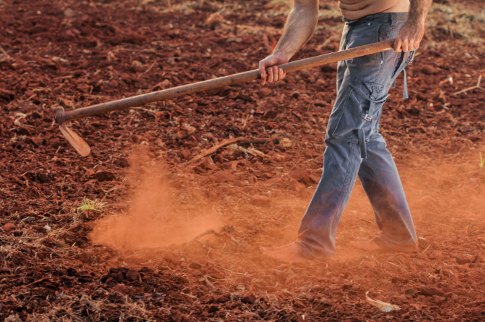 Popular Methods for Irrigating Your Home Garden